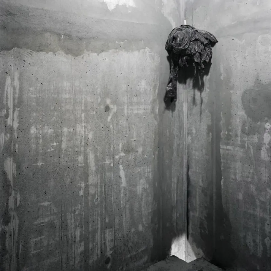 Friederike von Rauch, Harpa 2, Pigmentprint on Hahnemühle Laid Paper, 2010