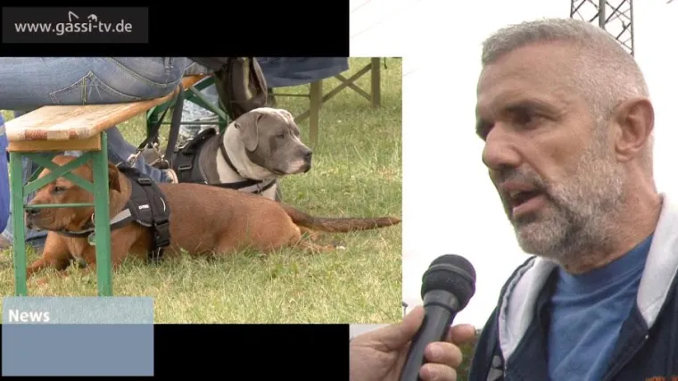 Bild: Die Dogworld-Stiftung