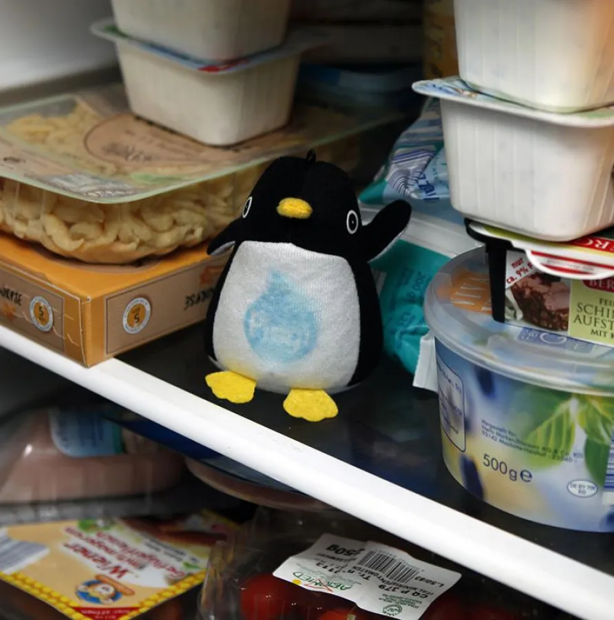 Auch im Kühlschrank macht Pingi eine gute Figur.