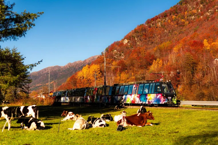 Bild: Mit dem „Treno del Foliage“ durch das Hinterland des Lago Maggiore