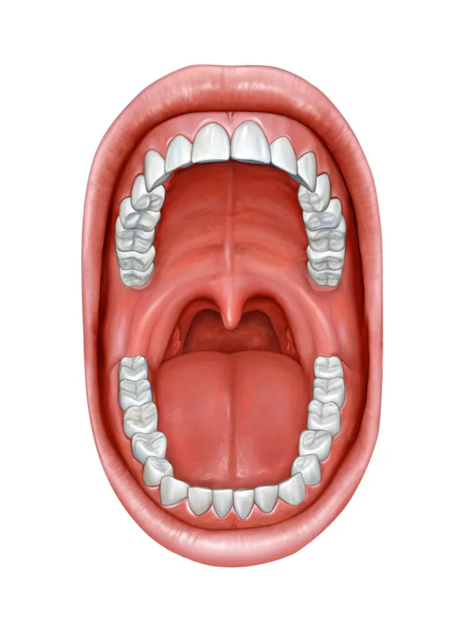 ©  Andrea Danti from shutterstock.com (636022079)