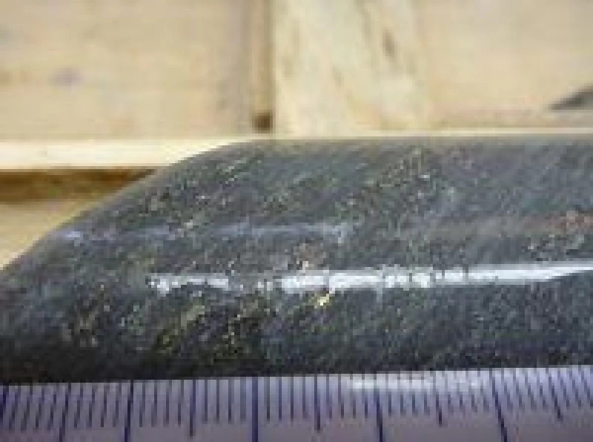 Bohrkern vom Goliath-Projekt; Foto: Treasury Metals