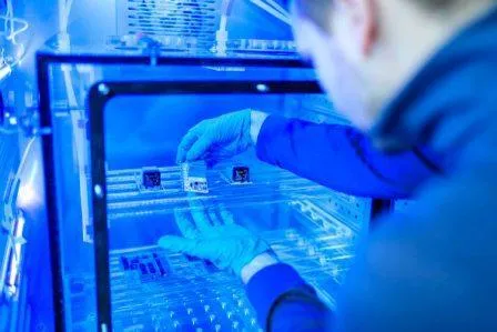Bild: Mit FTIR-Spektroskopie und Hochleistungs-Mikroskopen kleinsten Defekten in der Mikroelektronik auf der Spur