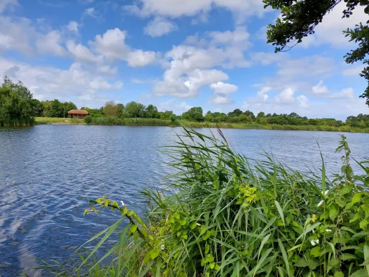 Angelurlaub in Ostfriesland Bild: Angelurlaub in Ostfriesland