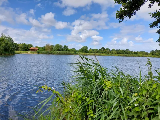 Bild: Angelurlaub in Ostfriesland