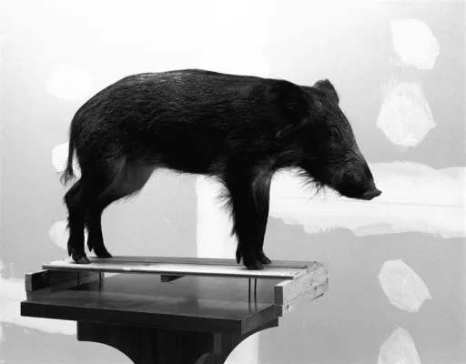 Bild: Leipzig - „Dreams of a Better Life“ - Vernissage am 24. Oktober 2008