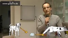 Der Fuchsbandwurm Bild: Der Fuchsbandwurm