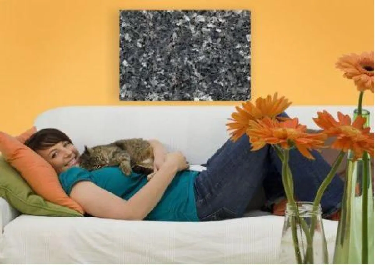 Sonderthema: Alles zur Infrarotheizung - Energieforum-Hessen.de