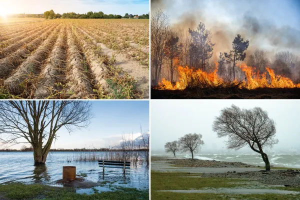 Bild: Wasserkreislauf im Wandel: Zunehmende Extreme