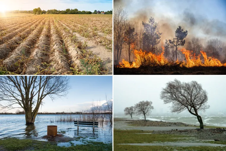 Bild: Wasserkreislauf im Wandel: Zunehmende Extreme