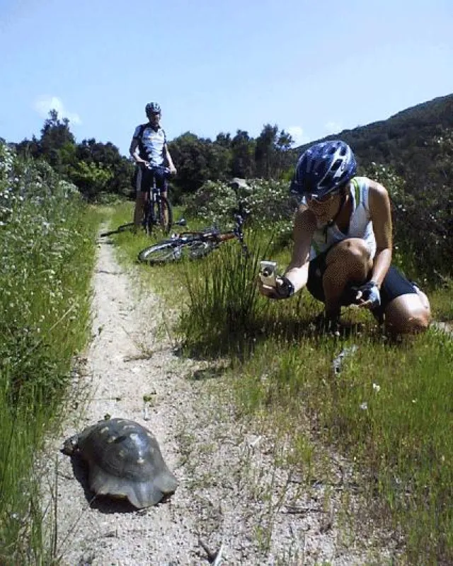 Ladies Biken auf Sardinien