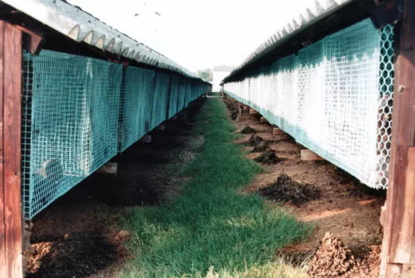 Bild: Die Forderung der Tierrechtler passt leicht auf einen Bierdeckel