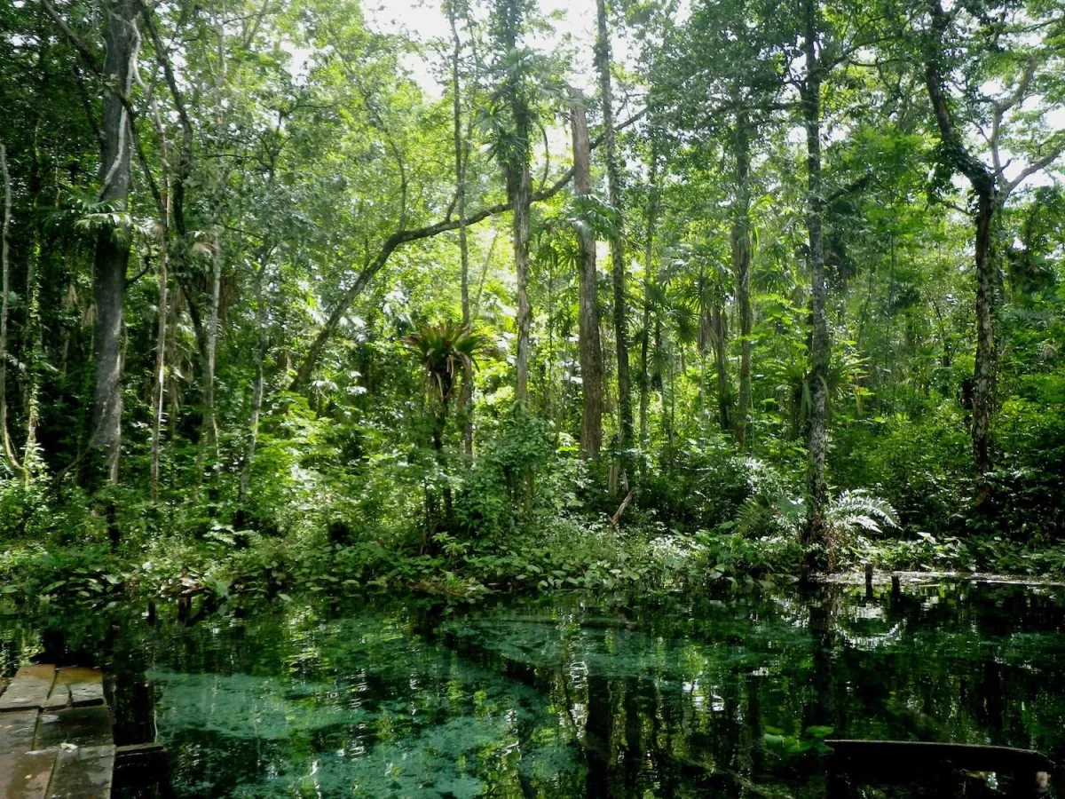 Konkrete Klimaschutz-Taten sind gefragt: jetzt, im großen Stil, lokal und global.