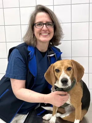 Bild: Junge Migrantinnen gestalten Europa mit: „Voices of Change“ im Europäischen Parlament