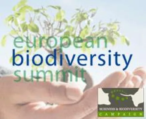 Bild: Jagd nach Rohstoffen gefährdet letzte intakte Ökosysteme