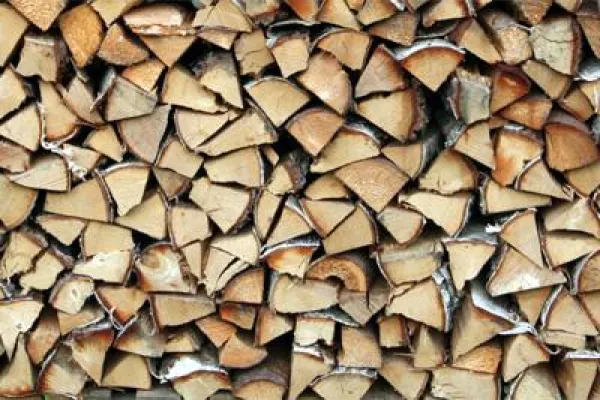 Bild: Experten-Tipp - Brennholz - Welches Holz heizt am besten?