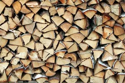 Experten-Tipp - Brennholz - Welches Holz heizt am besten? Bild: Experten-Tipp - Brennholz - Welches Holz heizt am besten?