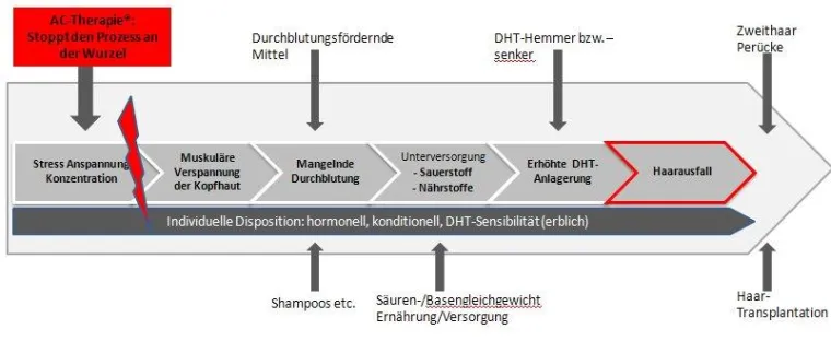 Erfolgreiche Therapie gegen erblich bedingten (androgenetischen) Haarausfall Bild: Erfolgreiche Therapie gegen erblich bedingten (androgenetischen) Haarausfall