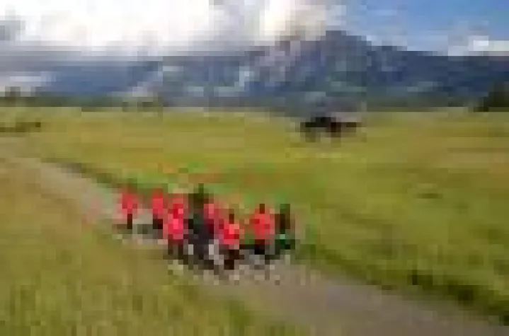 Bild: Die weltbesten Marathonläufter trainieren auf der Seiser Alm