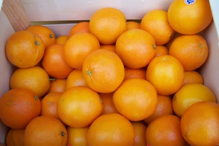 Bild: 1.000 Orangen für einen guten Zweck