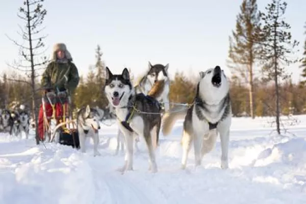 Bild: Finnland-Reiseveranstalter Suomi Travel GmbH macht Winter-Lappland möglich