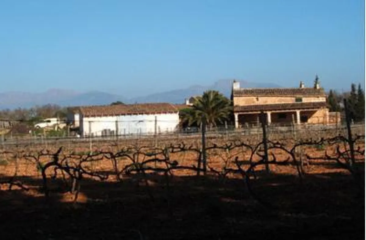 Wein Mallorca - Bodega Casa Padrina