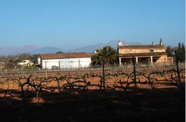 Bild: Bodega Ca Sa Padrina - Ein Biologe als Hobbywinzer