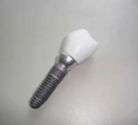 Bild: Effizient durch Dienstleister