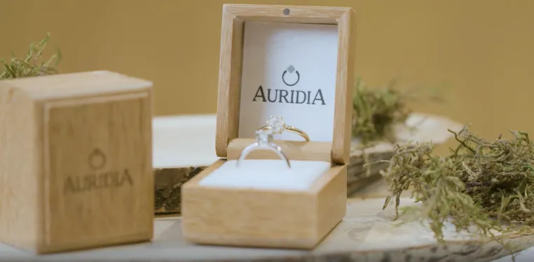 Bild: Crowdfunding Kampagne für konfliktfreie, synthetische Diamanten bei Kickstarter gestartet