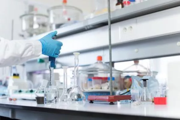Bild: Krebszellen sterben nicht, die Apoptose ist ausgeschaltet.