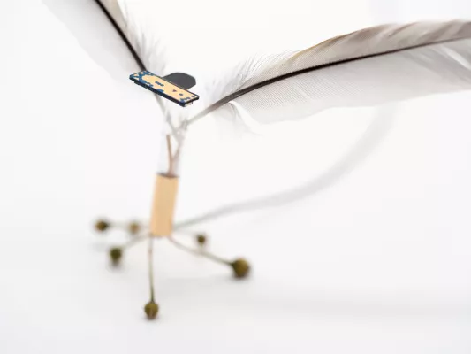 Bild: Kunstausstellung in Fürstenwalde/Spree: ANJA ASCHE – fragile Kräfte