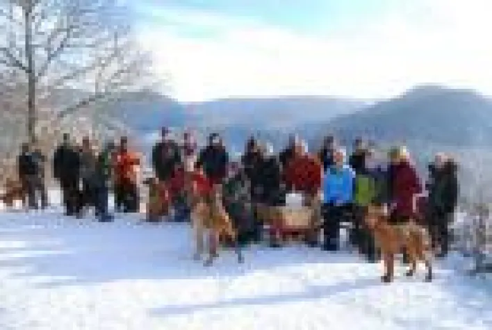 Bild: Im ersten Vereinsjahr bereits 76 Jagdhunde erfolgreich vermittelt