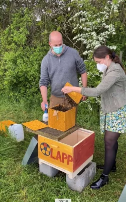 Bild: Mit LAPP Bienen der Pflanzenvielfalt auf der Spur
