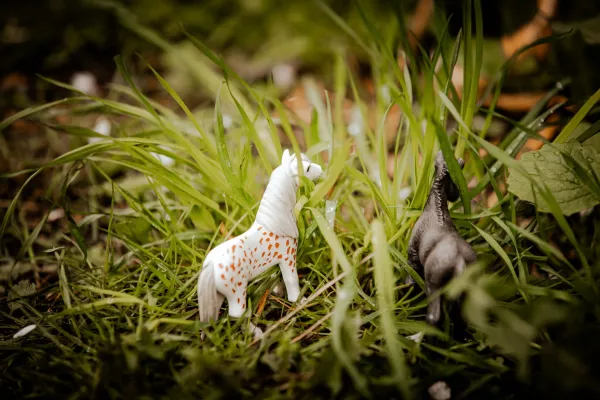 Bild: Epstein-Files: Aufklärung darf nicht retraumatisieren – ein Aufruf zu Verantwortung und Schutz