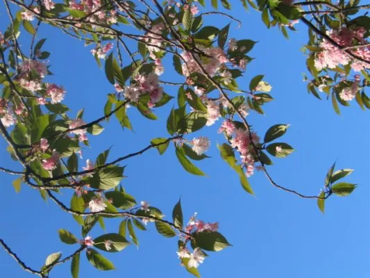 Bild: Harmonisch in den Sommer starten