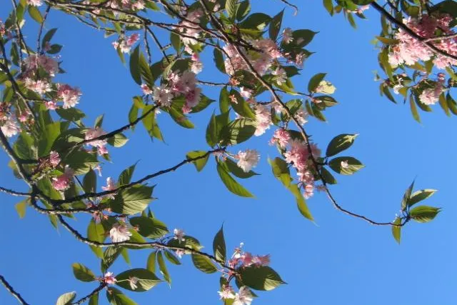 Harmonisch in den Sommer starten Bild: Harmonisch in den Sommer starten