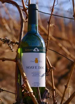 Bild: NEU von Grüner Weinberg: Trockener Bio-Weißwein Soave D.O.C. aus Venetien