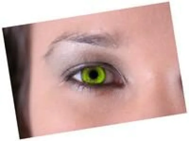 Bild: \"Power Dating 7x7x7\" jetzt auch am Mittelrhein - Auftaktveranstaltung in Koblenz