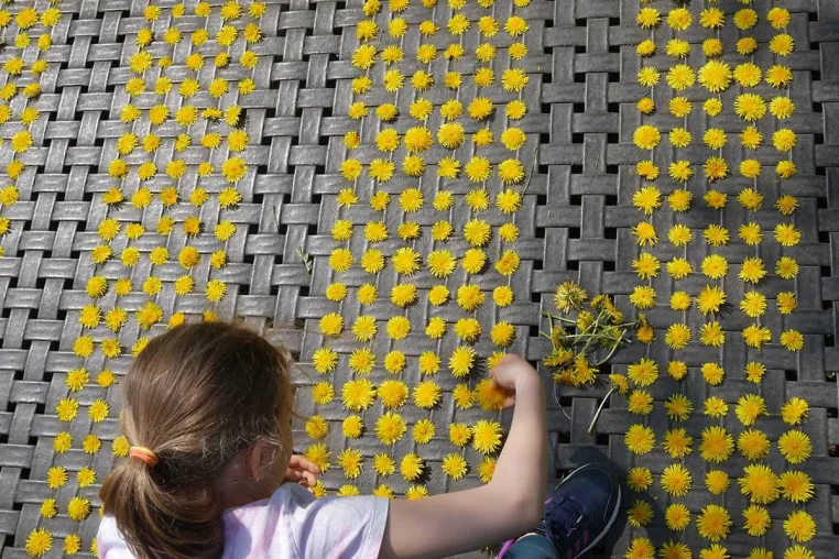 Vom Budenbauen zum Bildungserfolg – Lernziel Spielen macht den Abenteuerspielplatz zum Klassenzimmer Bild: Vom Budenbauen zum Bildungserfolg – Lernziel Spielen macht den Abenteuerspielplatz zum Klassenzimmer