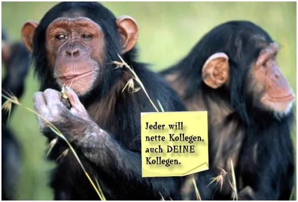 Bild: Werbe-Tischsets - störungsfreie Kommunikation mit Kunden und Mitarbeitern in entspannter Atmosphäre