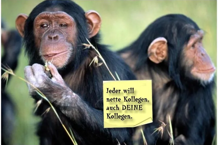 Bild: Werbe-Tischsets - störungsfreie Kommunikation mit Kunden und Mitarbeitern in entspannter Atmosphäre