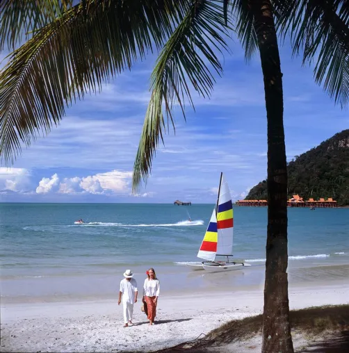 Land der Schmetterlinge und Orchideen - Malaysia – Begegnung mit einer einzigartigen Natur Bild: Land der Schmetterlinge und Orchideen - Malaysia – Begegnung mit einer einzigartigen Natur