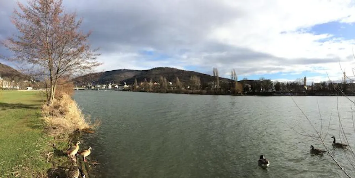 Zukunft Wohnen im Alter