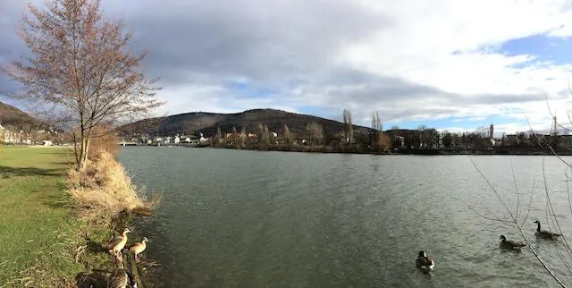 Bild: Wohntrend der Zukunft für Senioren