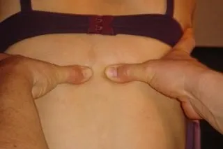 Bild: Bandscheiben-Probleme- muss das sein? - Erkenntnisse und Behandlungsmöglichkeiten der Wirbeltherapie nach DORN