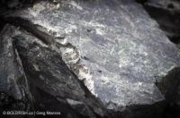 Bild: Group Ten Metals holt zwei Schwergewichte an Bord
