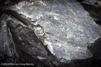 Bild: Group Ten Metals holt zwei Schwergewichte an Bord
