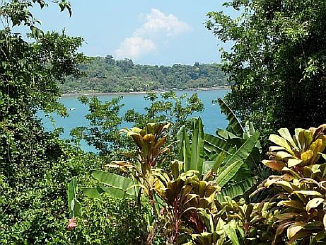 Regenwald am Ozean in Costa Rica, ©LatinTravels