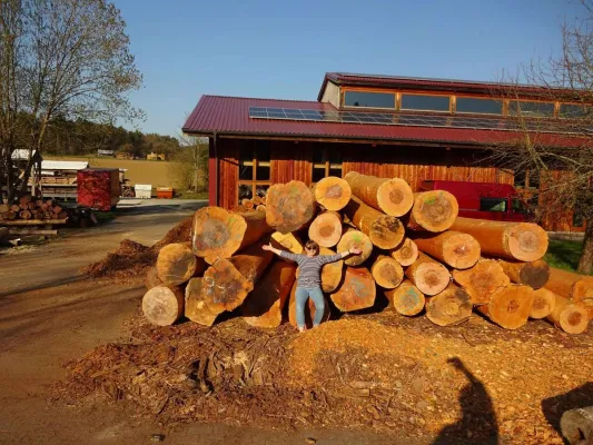 Bild: Vom Wald bis in die Küche: Wie 'Die Möbelmacher' die regionale Waldschöpfungskette verwirklichen