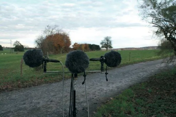 Bild: 19 Hz - 19 kHz | 19 AbsolventInnen des Masterstudiengangs Sound Studies präsentieren ihre Abschlussarbeiten